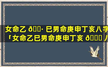 女命乙 🌷 巳男命庚申丁亥八字「女命乙巳男命庚申丁亥 🕊 八字好不好」